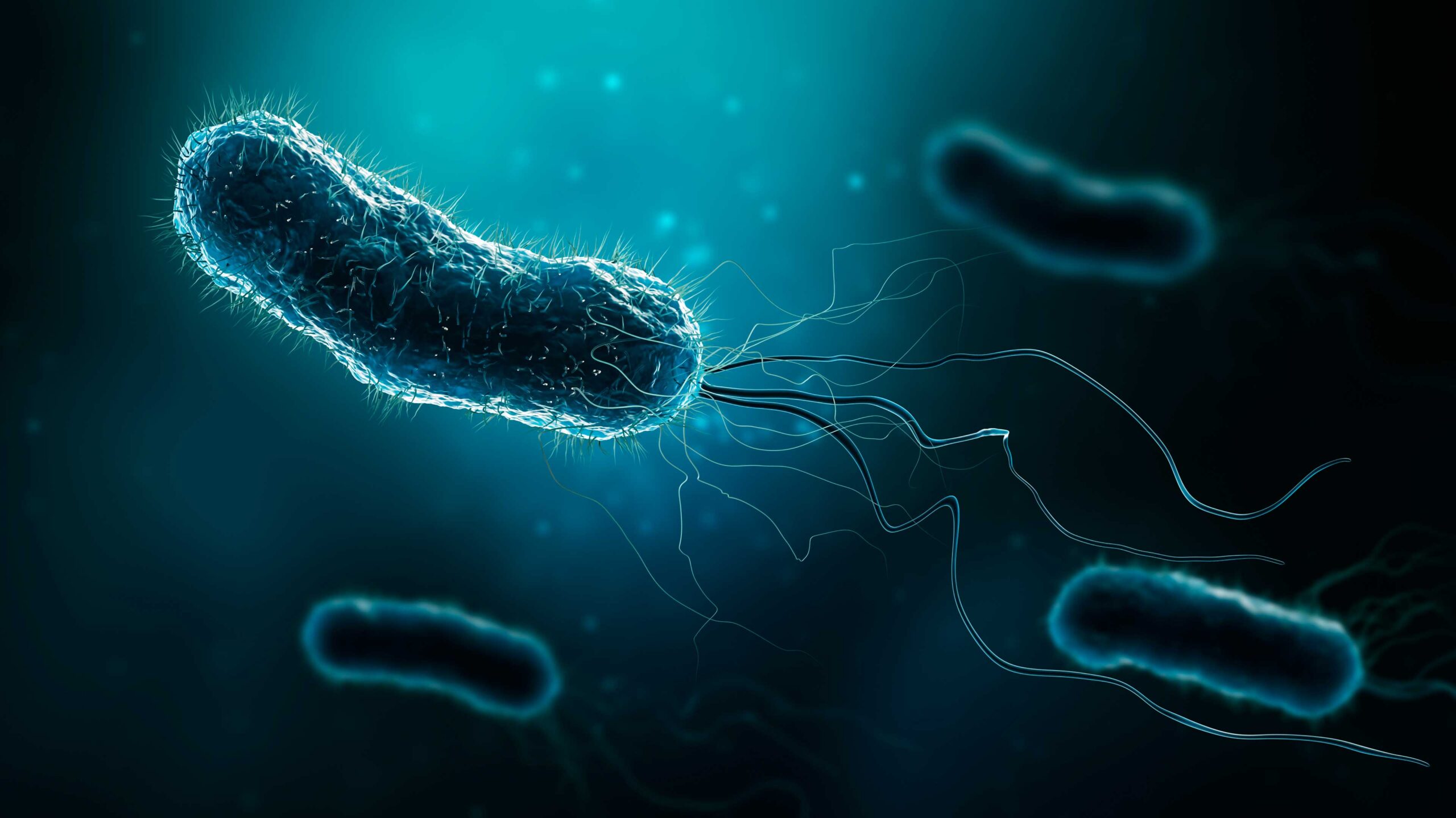 ¿Cuáles son los esquemas de erradicación para el Helicobacter pylori?